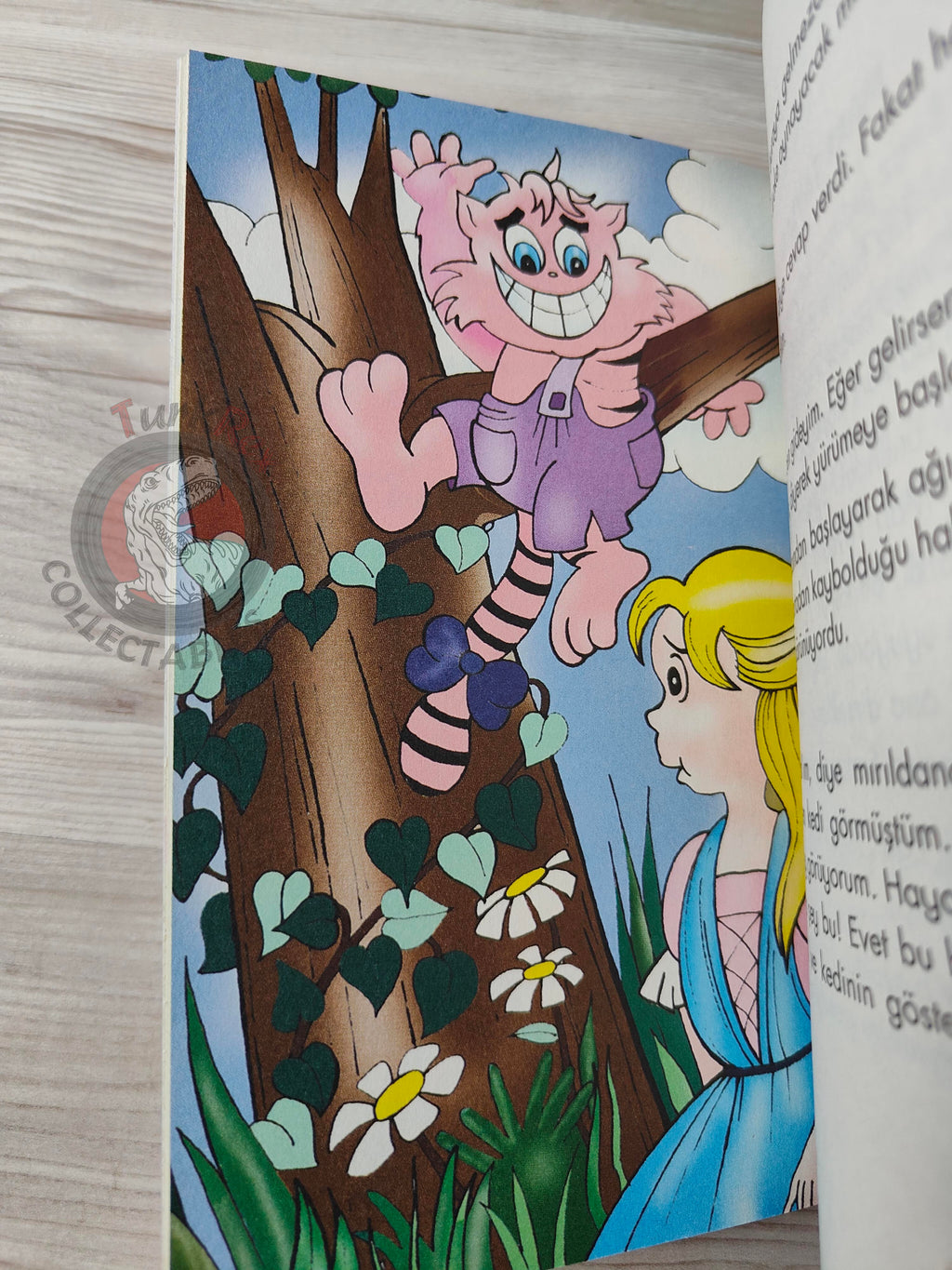 Lewis Carroll – Alice in Wonderland 2009 Turkish Book Turkey Illustrated Gülinaz