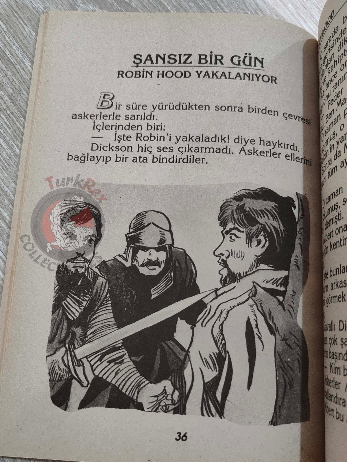 Robin Hood – Howard Pyle 1998 Turkish Book Turkey Illustrated