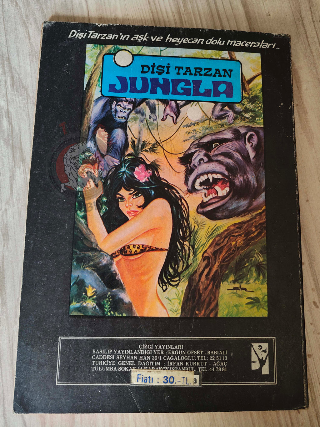 Fotoroman #1 The Pit and the Pendulum Movie 1977 Turkish Comic Turkey Edgar Allan Poe