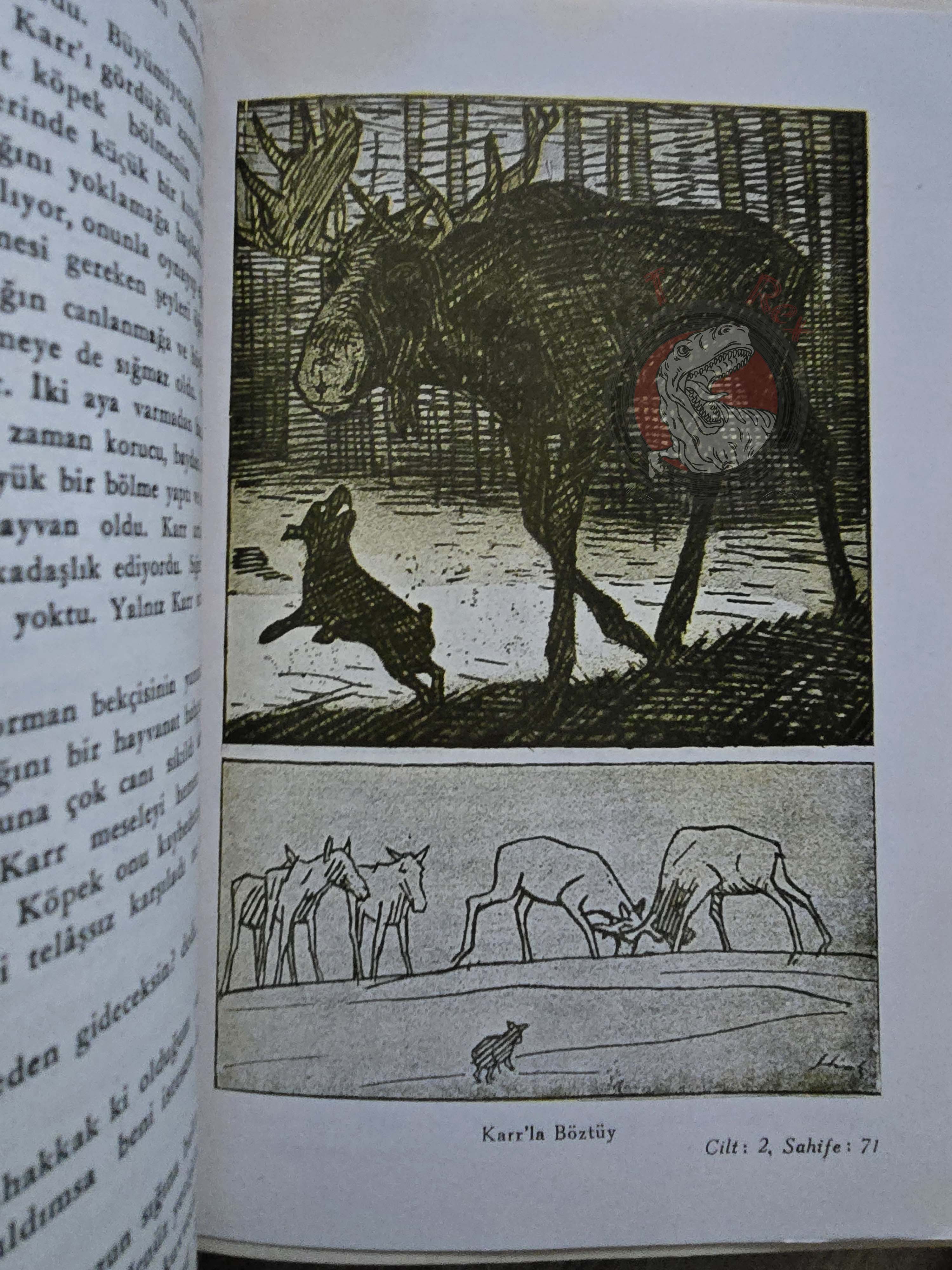 Selma Lagerlöf – The Wonderful Adventures Of Nils 1951 1st Illustrated Turkish Book Turkey