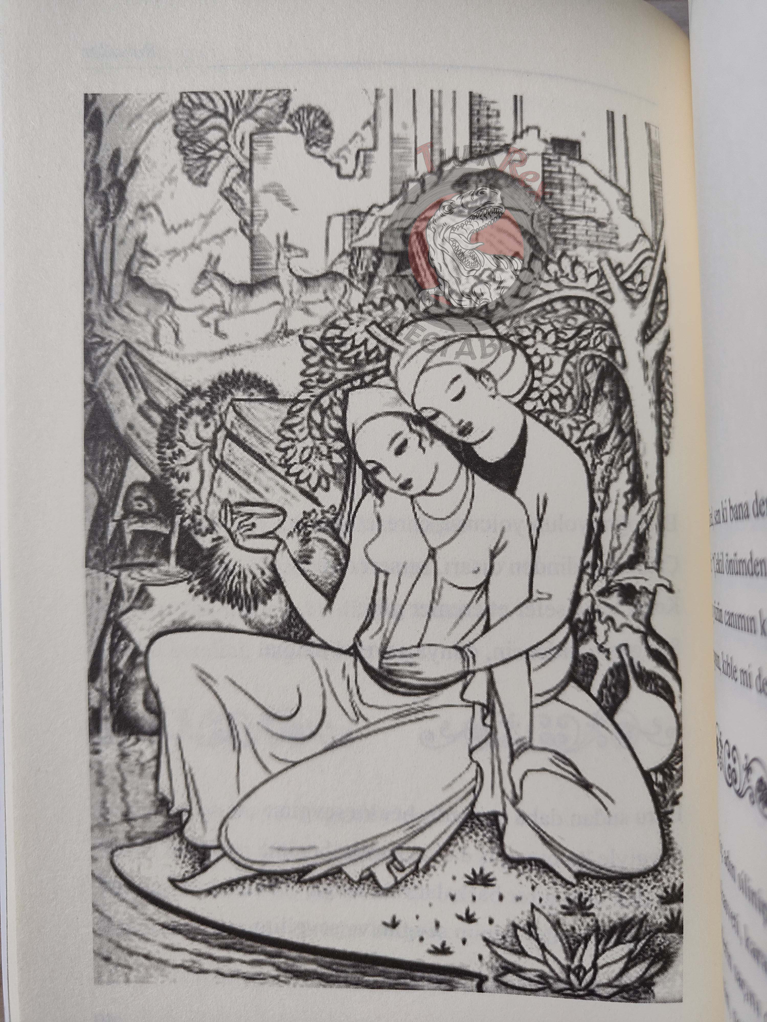 Rubaiyat of Omar Khayyam 2013 Illustrated Turkish Book Turkey Panama