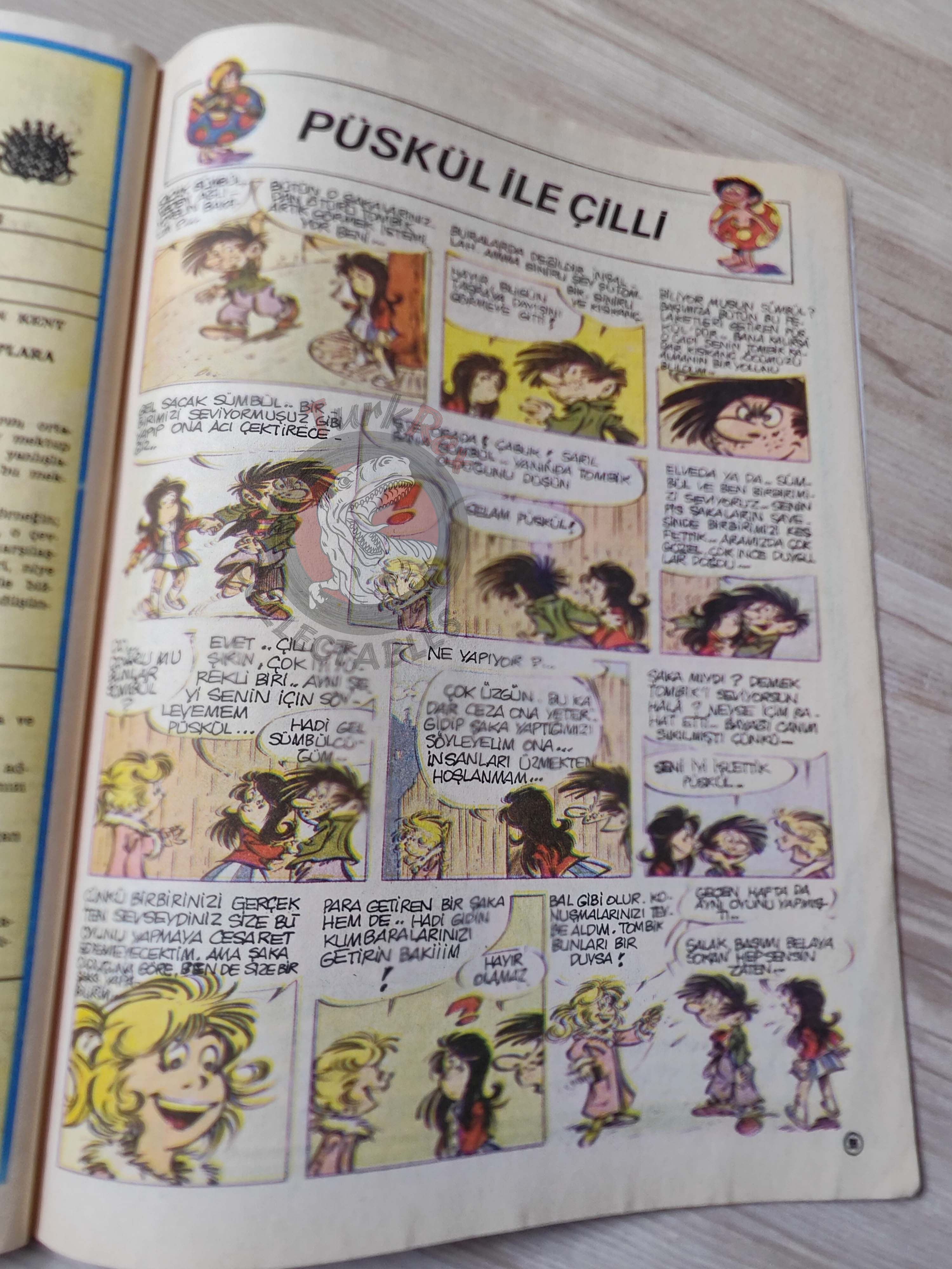 Milliyet Çocuk #27 1979 Turkish Comic Turkey Joyas Literarias Juveniles #12 Fenimore Cooper