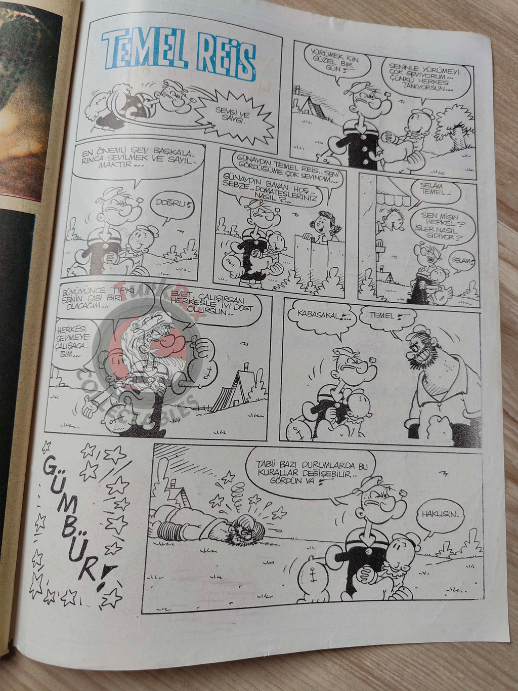 Milliyet Çocuk #16 1979 Turkish Comic Turkey Joyas Literarias Juveniles #57 Fenimore Cooper