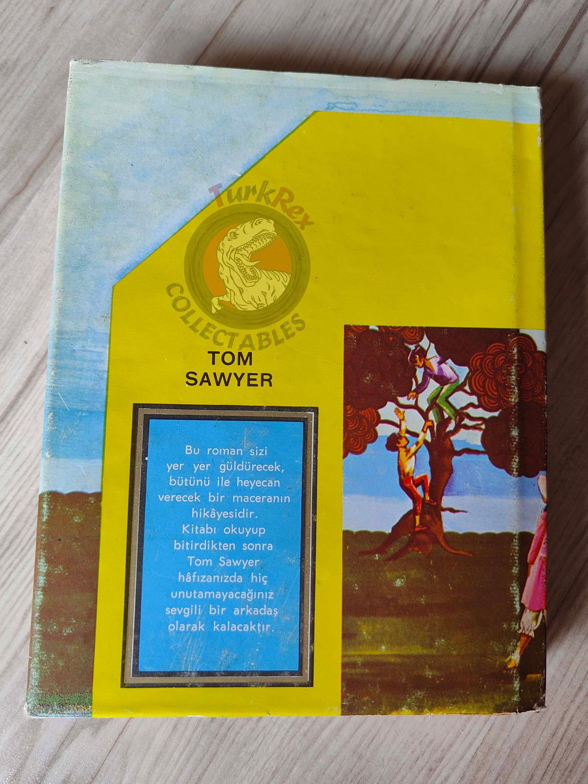 Mark Twain – Tom Sawyer 1975 HC/DJ Turkish Book Turkey Illustrated