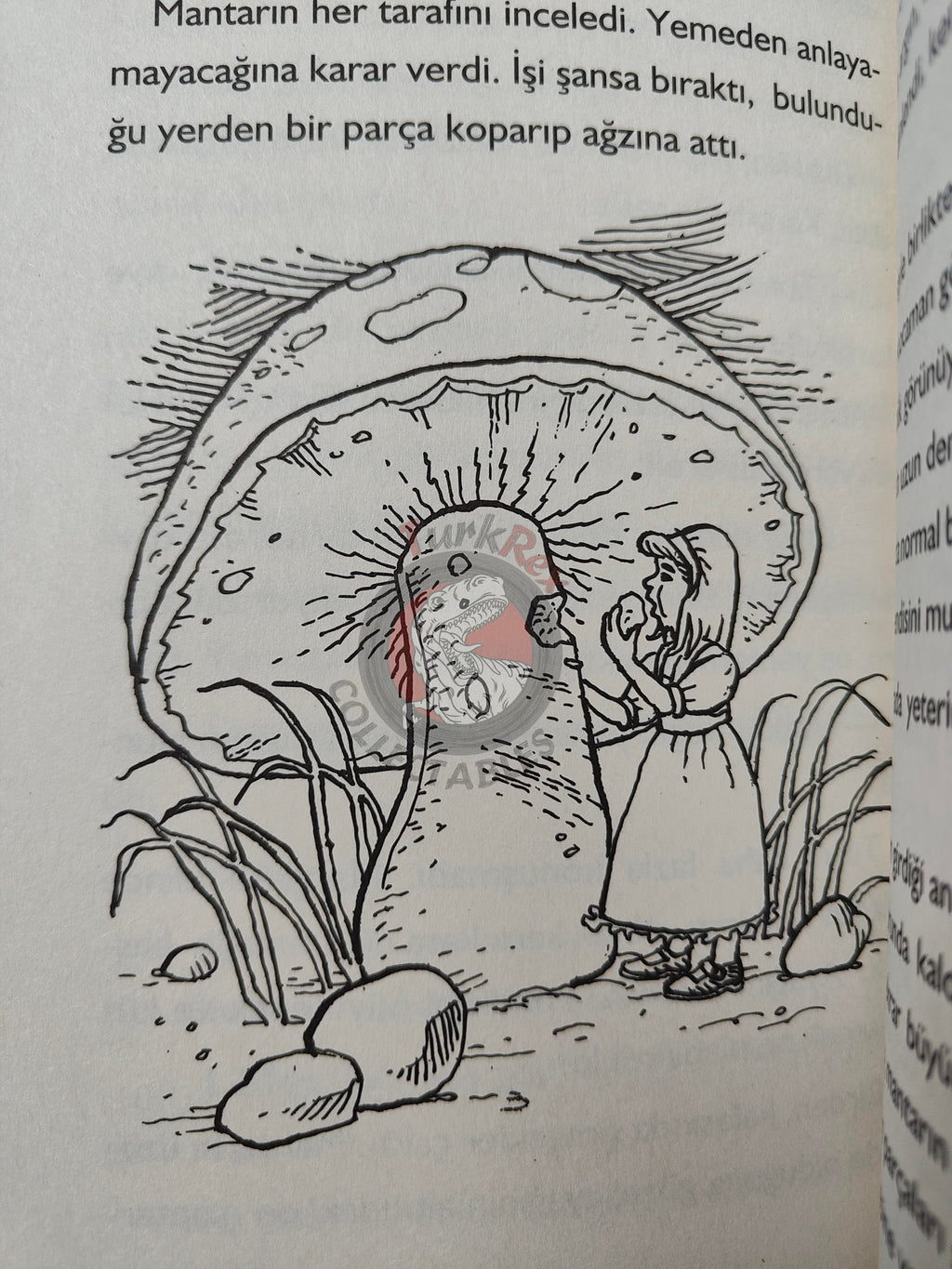 Lewis Carroll – Alice in Wonderland 2013 Turkish Book Turkey Illustrated