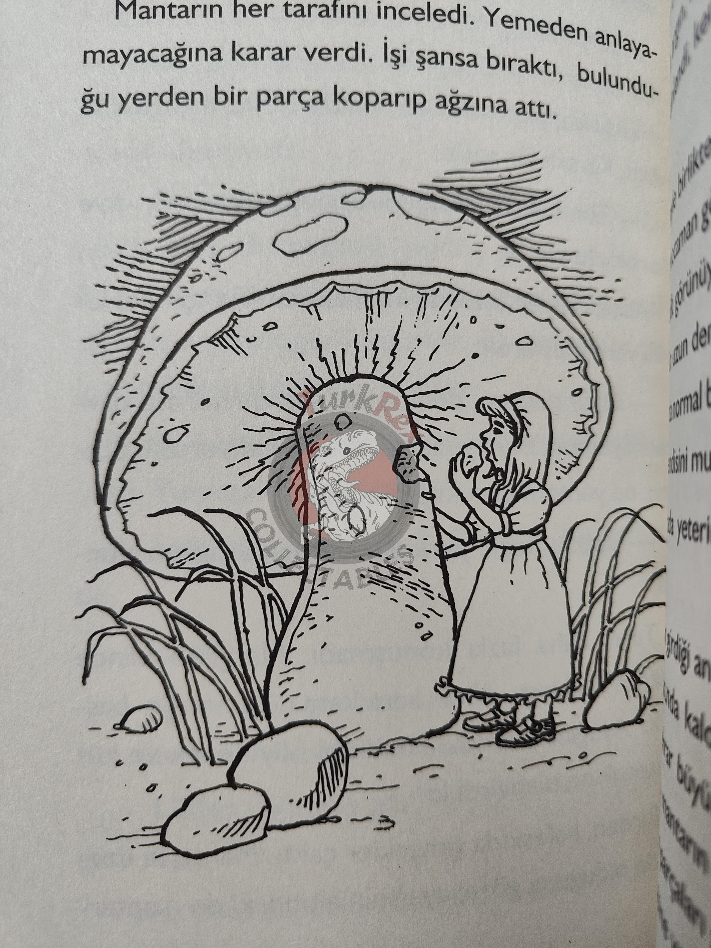 Lewis Carroll – Alice in Wonderland 2013 Turkish Book Turkey Illustrated