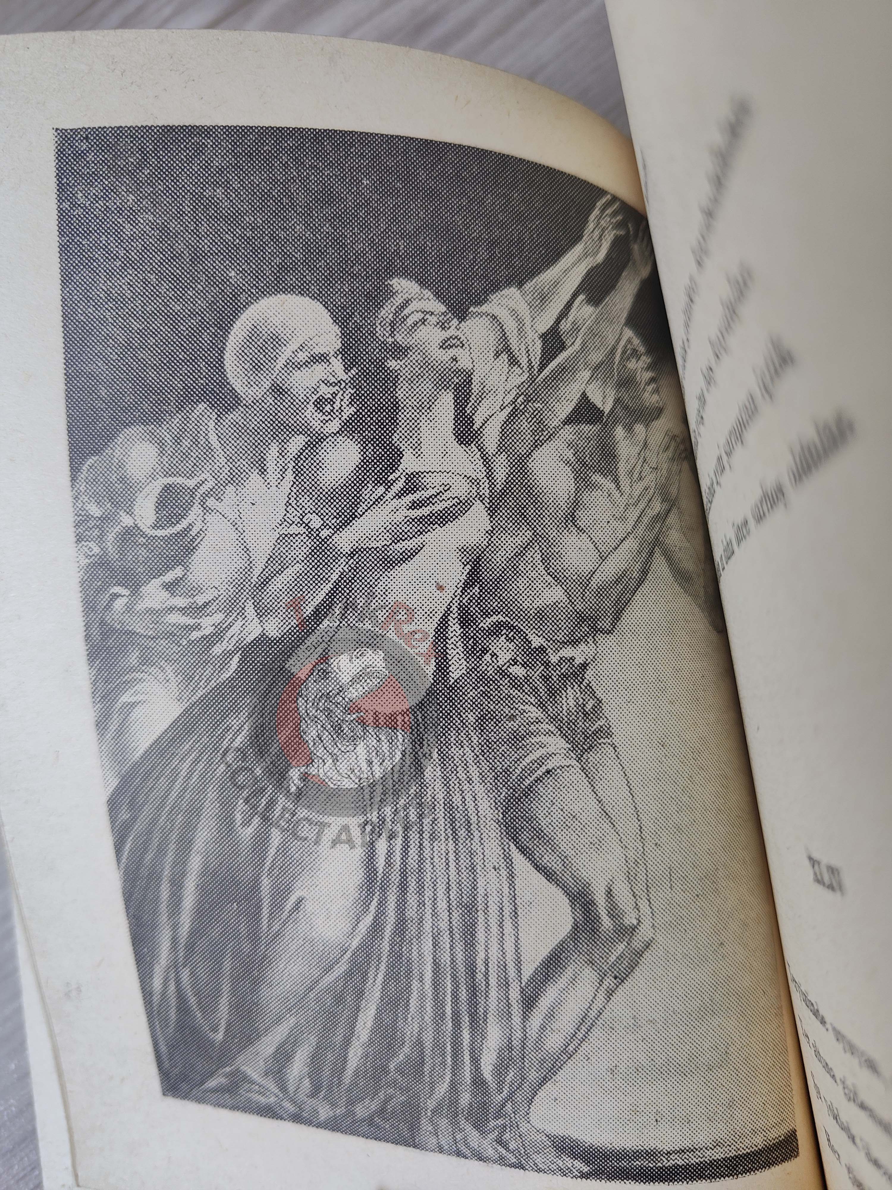 Rubaiyat of Omar Khayyam 1955 Illustrated Turkish Book Turkey
