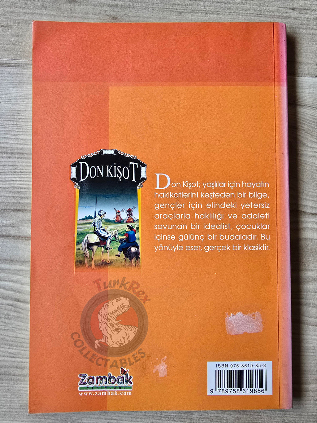 Miguel de Cervantes – Don Quixote 2003 Turkish Book Turkey Illustrated