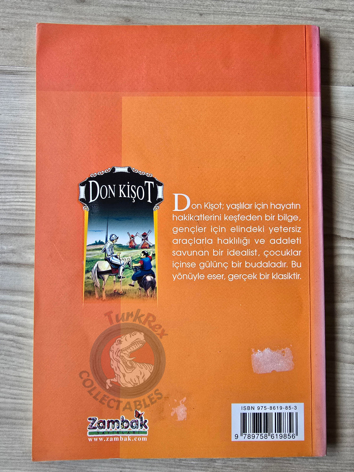 Miguel de Cervantes – Don Quixote 2003 Turkish Book Turkey Illustrated