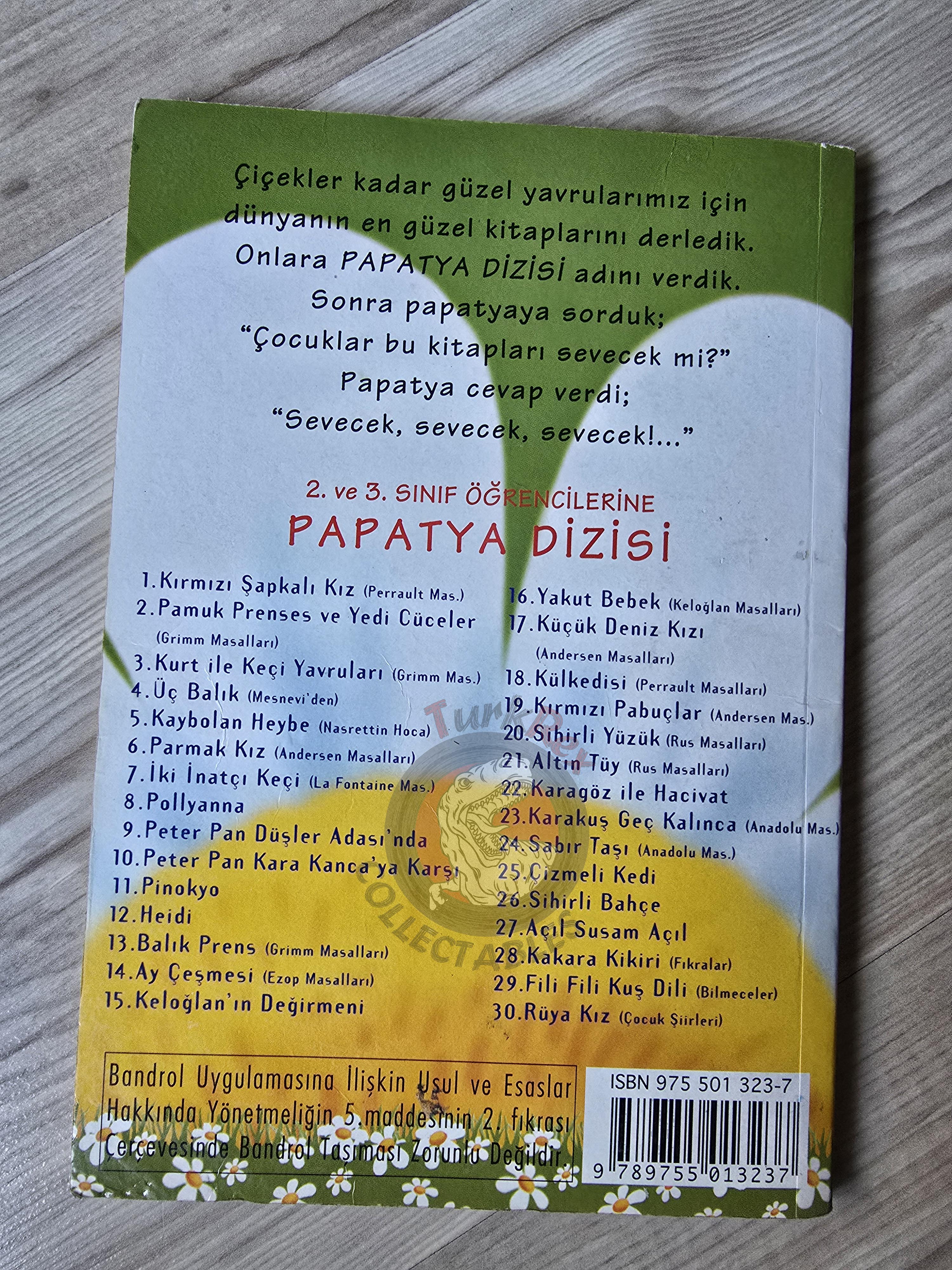 Hans Christian Andersen – The Little Mermaid 2003 Turkish Book Turkey Illustrated