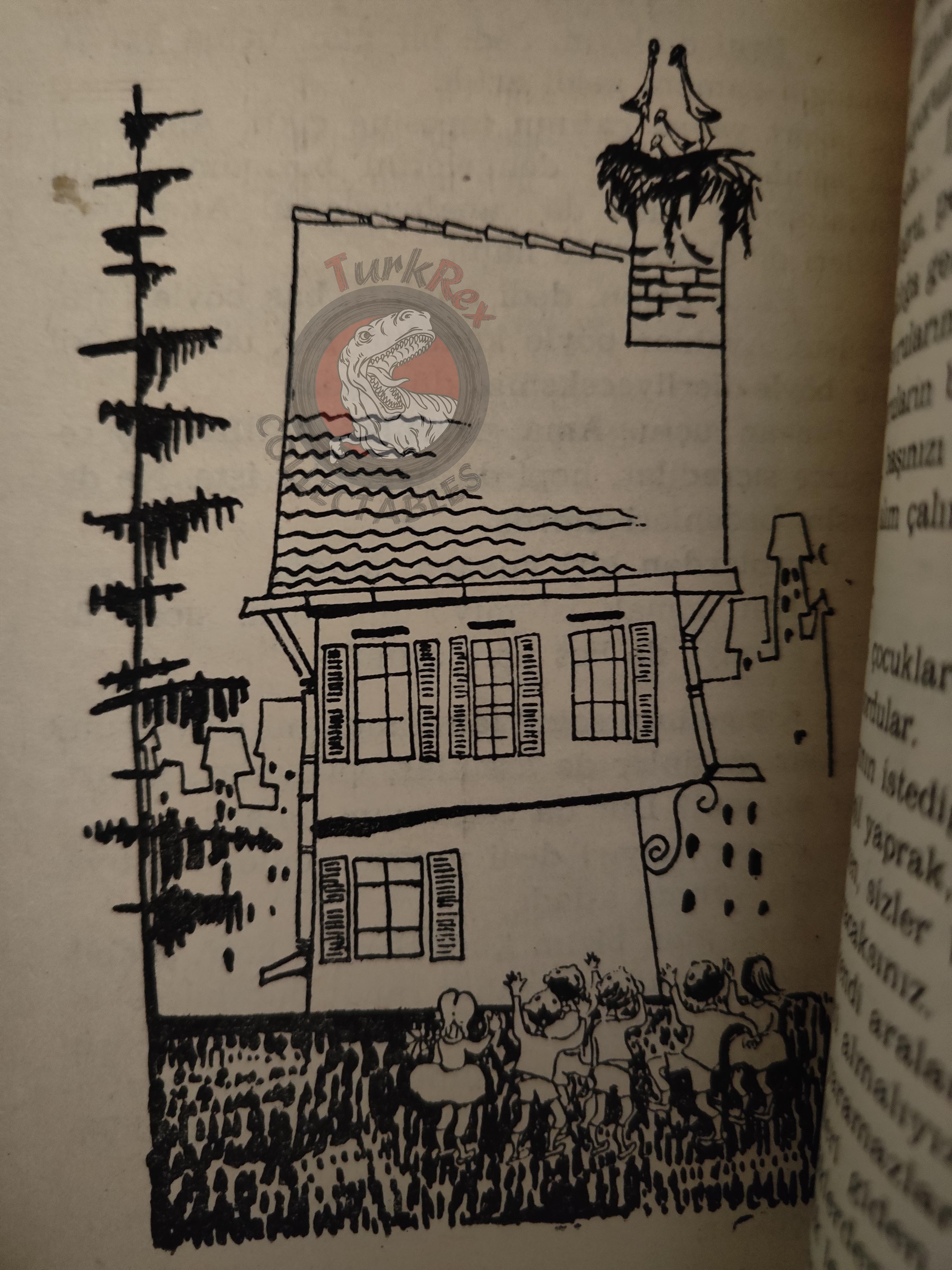 Hans Christian Andersen – The Snow Queen 1973 Turkish Book Turkey Illustrated