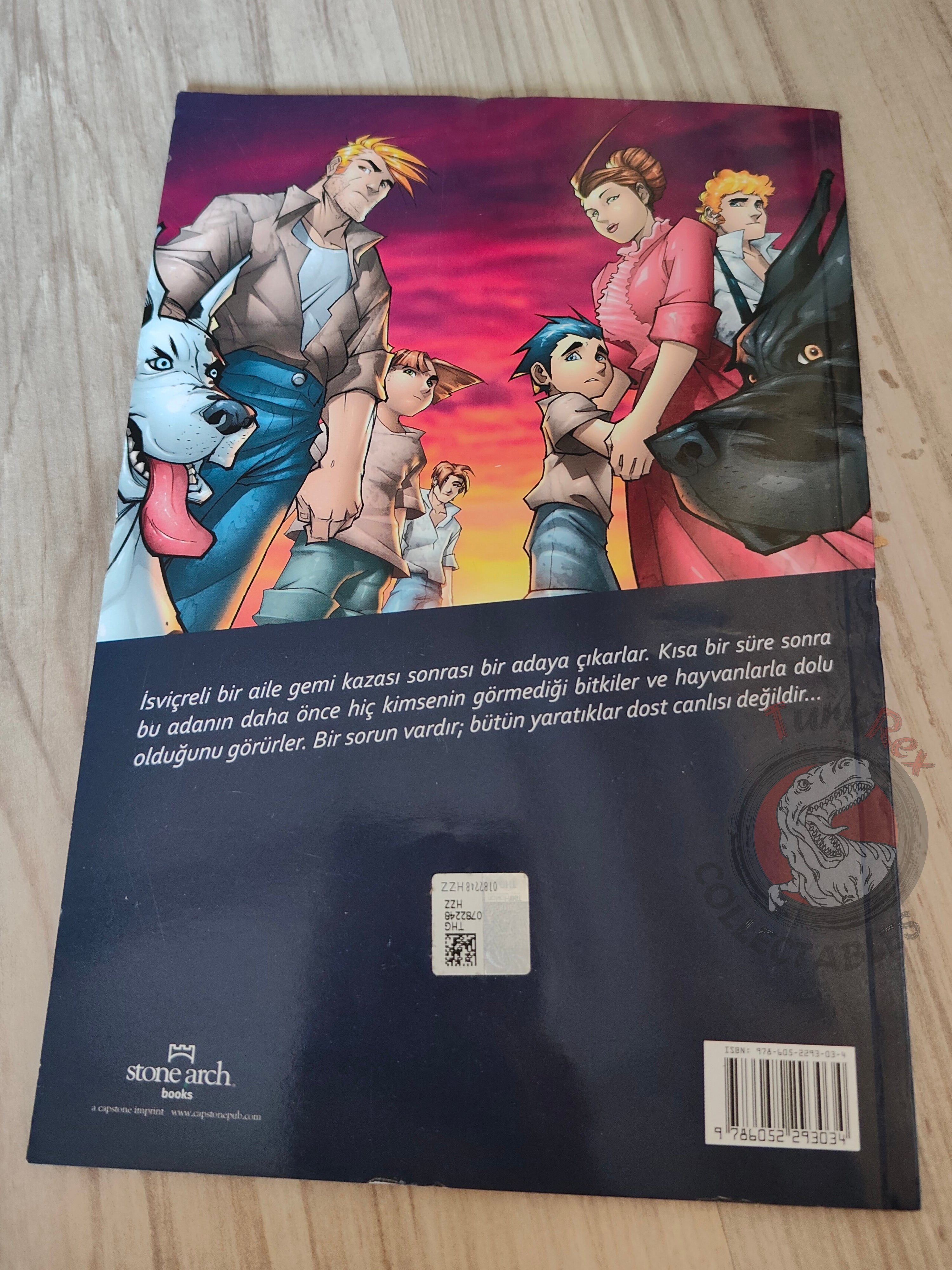 The Swiss Family Robinson – Johann David Wyss Turkish Comic Turkey Stone Arch Books