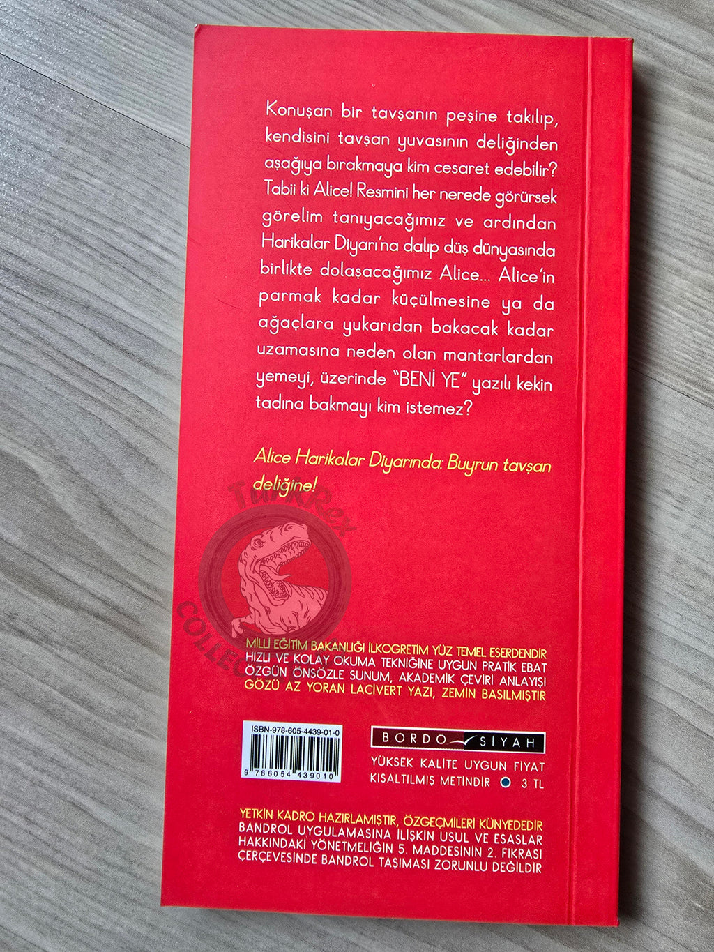 Lewis Carroll – Alice in Wonderland 2010 Turkish Book Turkey Illustrated 3