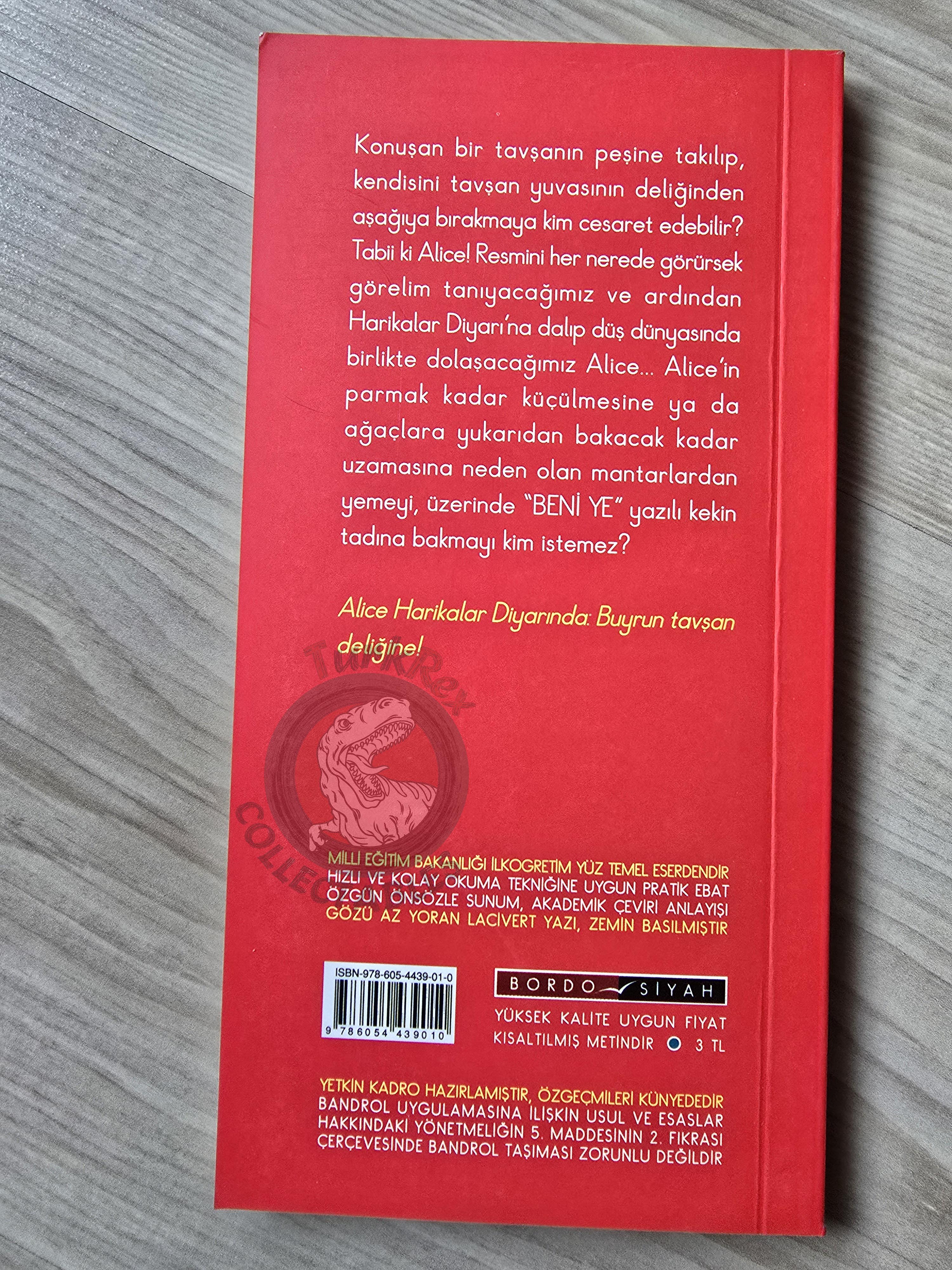 Lewis Carroll – Alice in Wonderland 2010 Turkish Book Turkey Illustrated 3