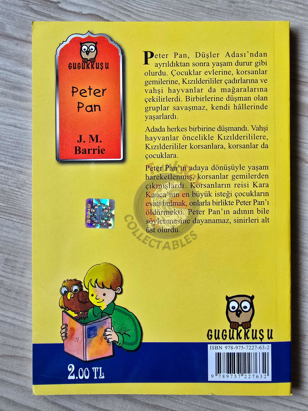J. M. Barrie – Peter Pan 2011 Turkish Book Turkey Illustrated 2
