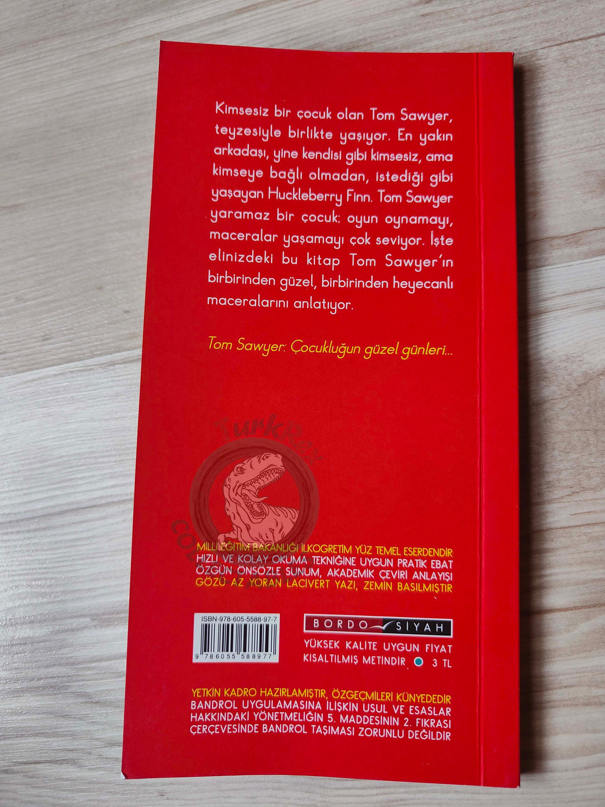 Mark Twain – Tom Sawyer 2010 Turkish Book Turkey Illustrated