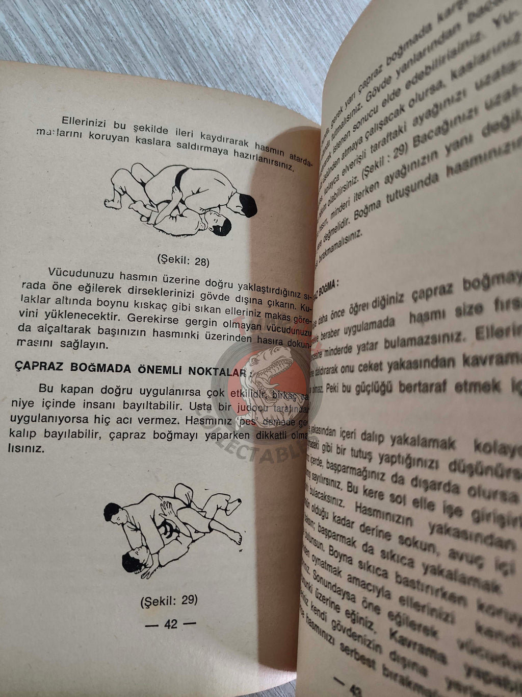 Eric Dominy – Illustrated Martial Arts 1973 Turkish Book Turkey Illustrated Judo