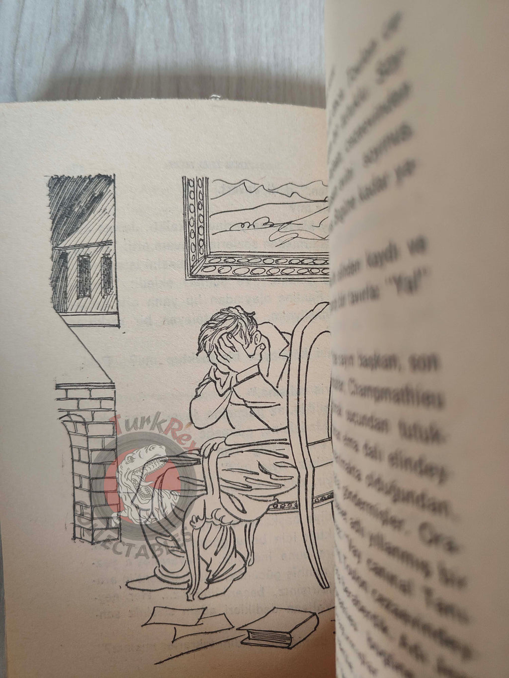 Victor Hugo –  Fantine and Her Daughter 1969 Illustrated Turkish Book Turkey