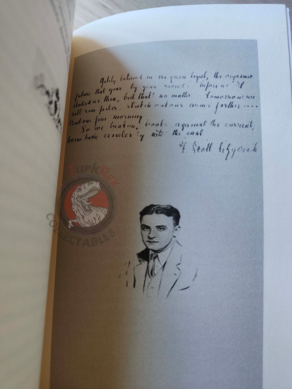 F. Scott Fitzgerald  – The Great Gatsby 2013 Illustrated Turkish Book Turkey