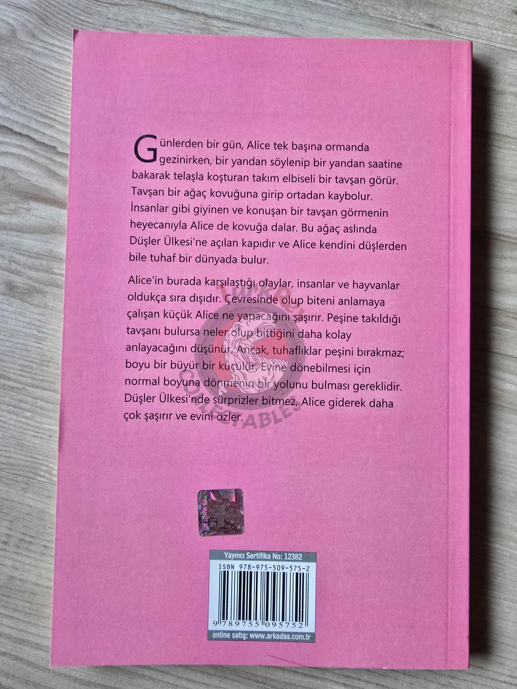 Lewis Carroll – Alice in Wonderland 2013 Turkish Book Turkey Illustrated