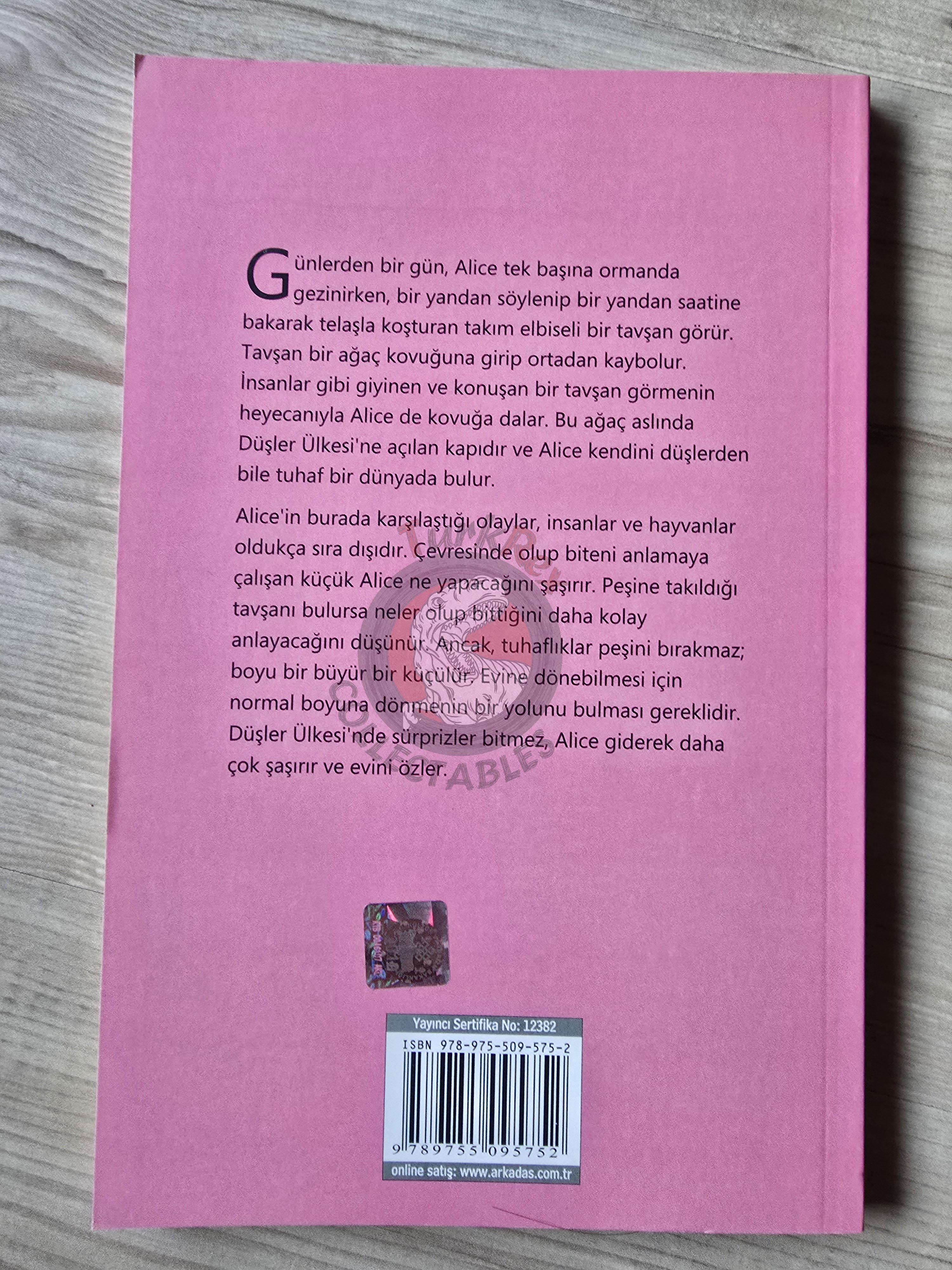 Lewis Carroll – Alice in Wonderland 2013 Turkish Book Turkey Illustrated