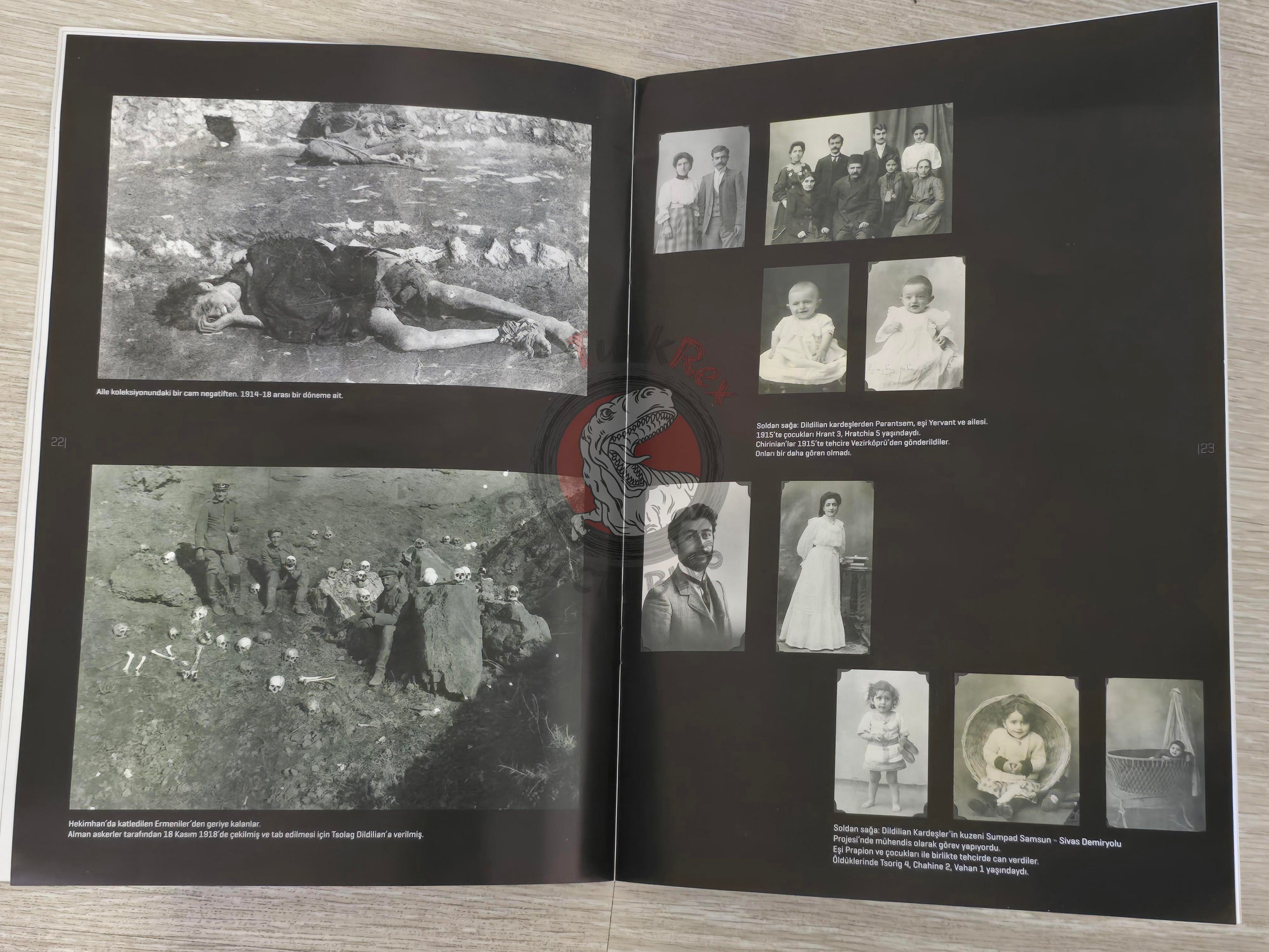 The Lost History of an Armenian Family Dildilian Brothers 2015 Turkish Book Turkey Armenia