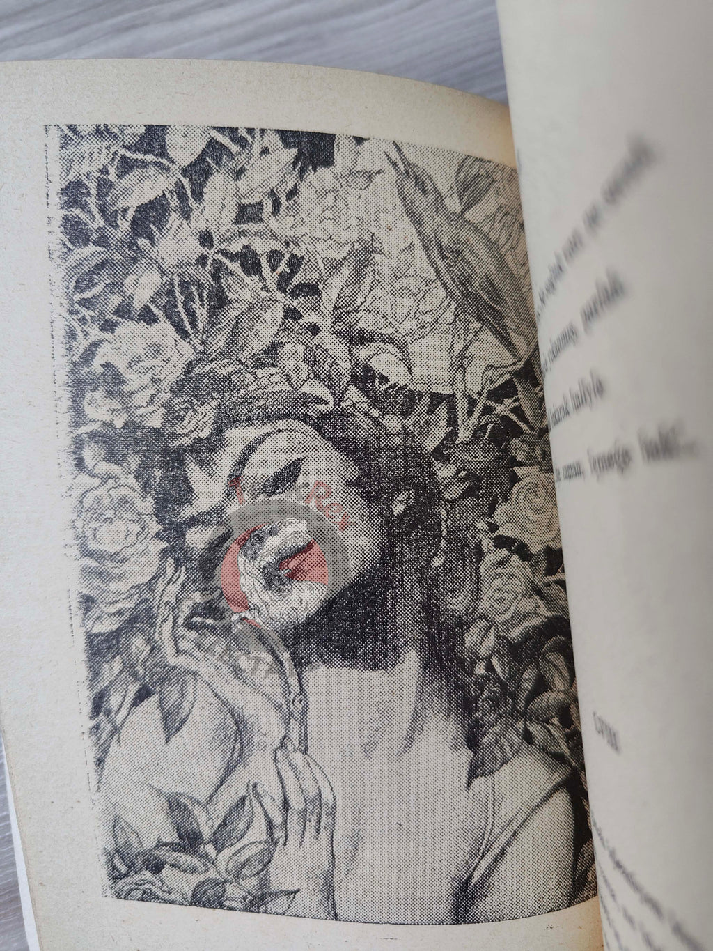 Rubaiyat of Omar Khayyam 1955 Illustrated Turkish Book Turkey