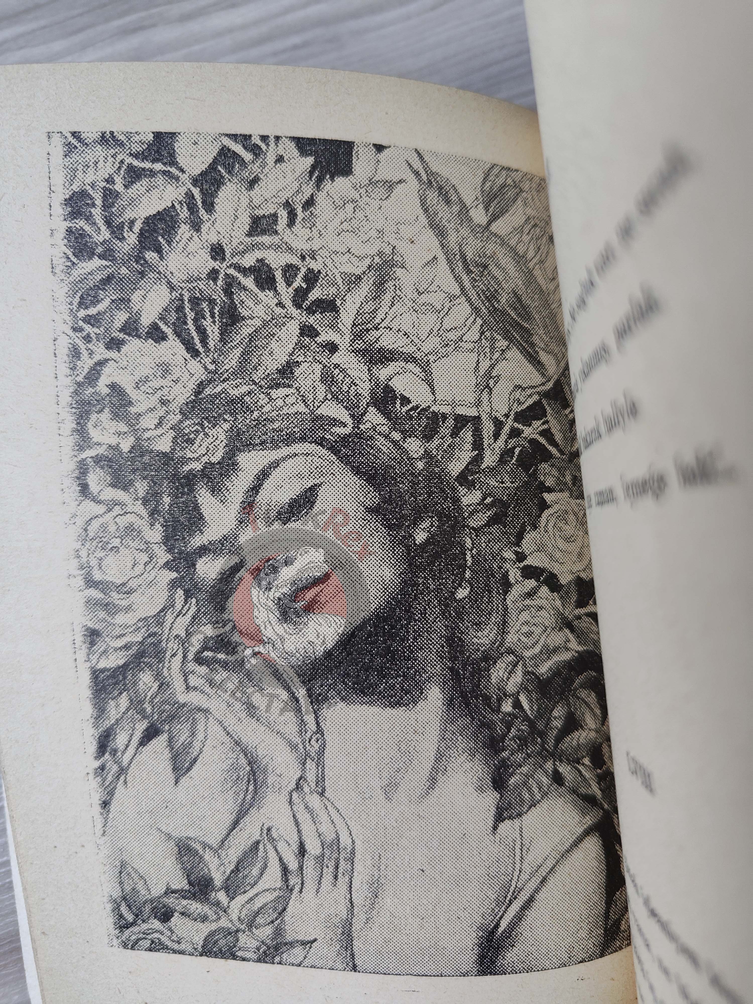 Rubaiyat of Omar Khayyam 1955 Illustrated Turkish Book Turkey