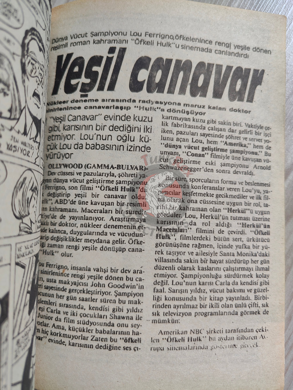 Hulk #19 1988 Turkish Comic Turkey cover Rampaging #8 #96 She-Hulk Lou Ferrigno