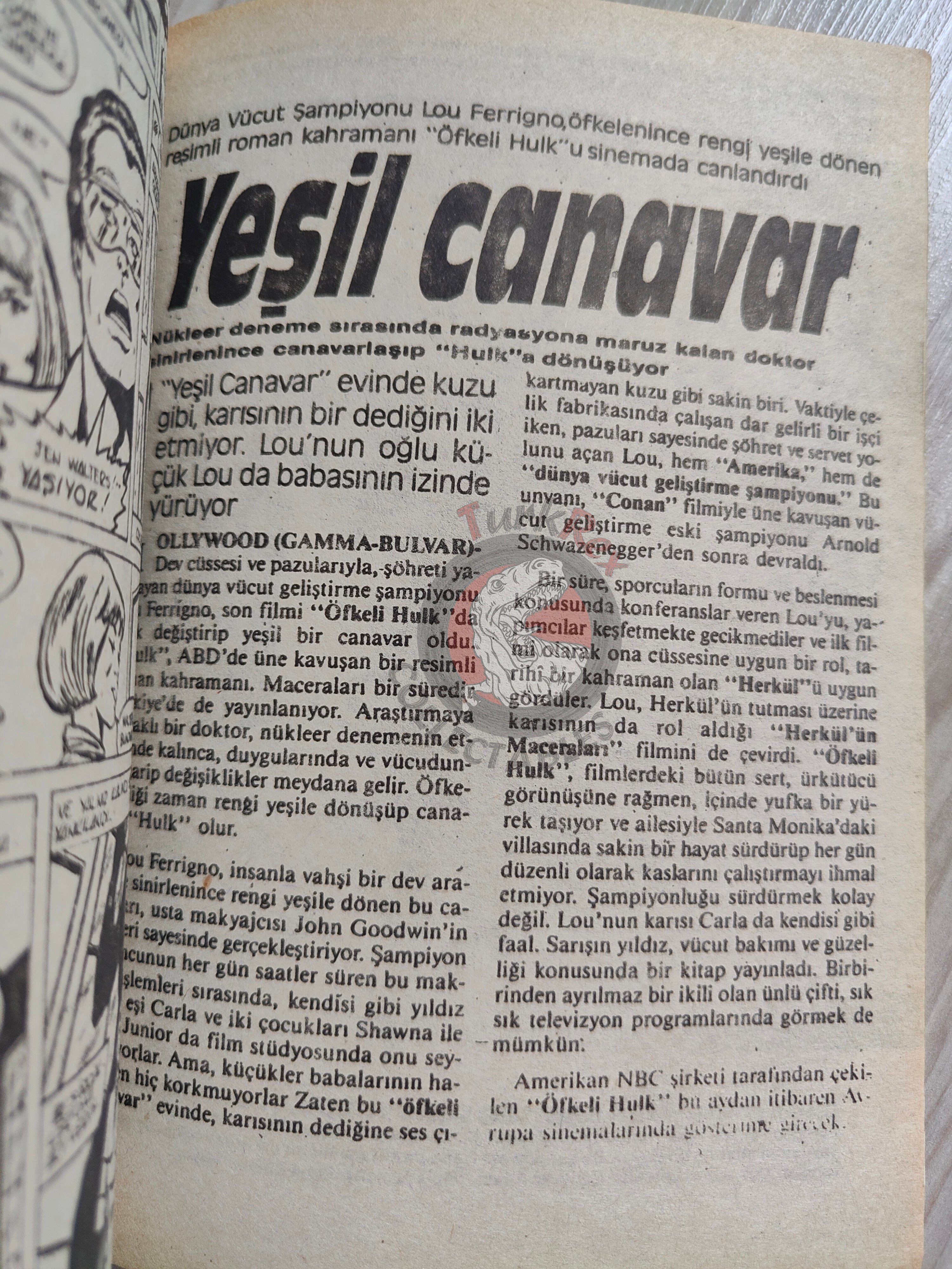 Hulk #19 1988 Turkish Comic Turkey cover Rampaging #8 #96 She-Hulk Lou Ferrigno