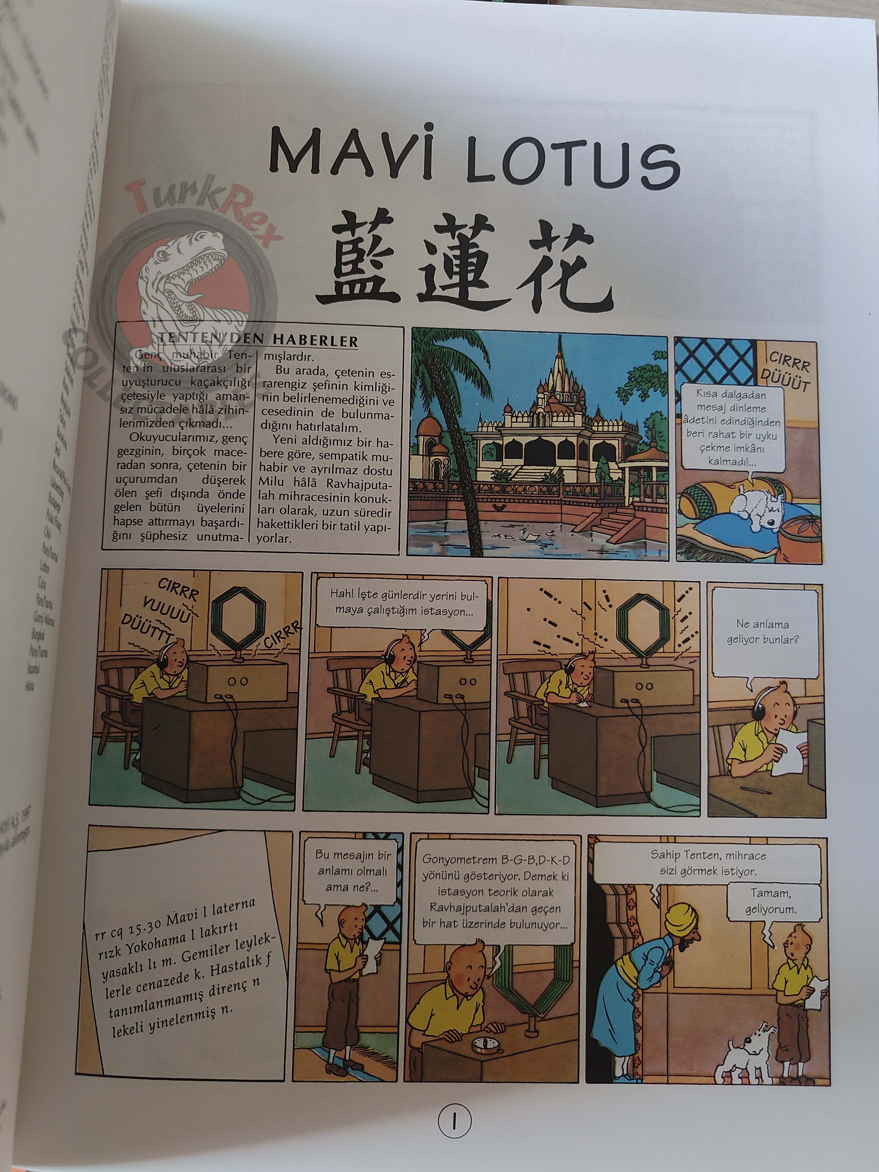 Tintin – Lot of 22 Complete Set 1994 - 1998 Turkish Edition Comic Turkey YKY