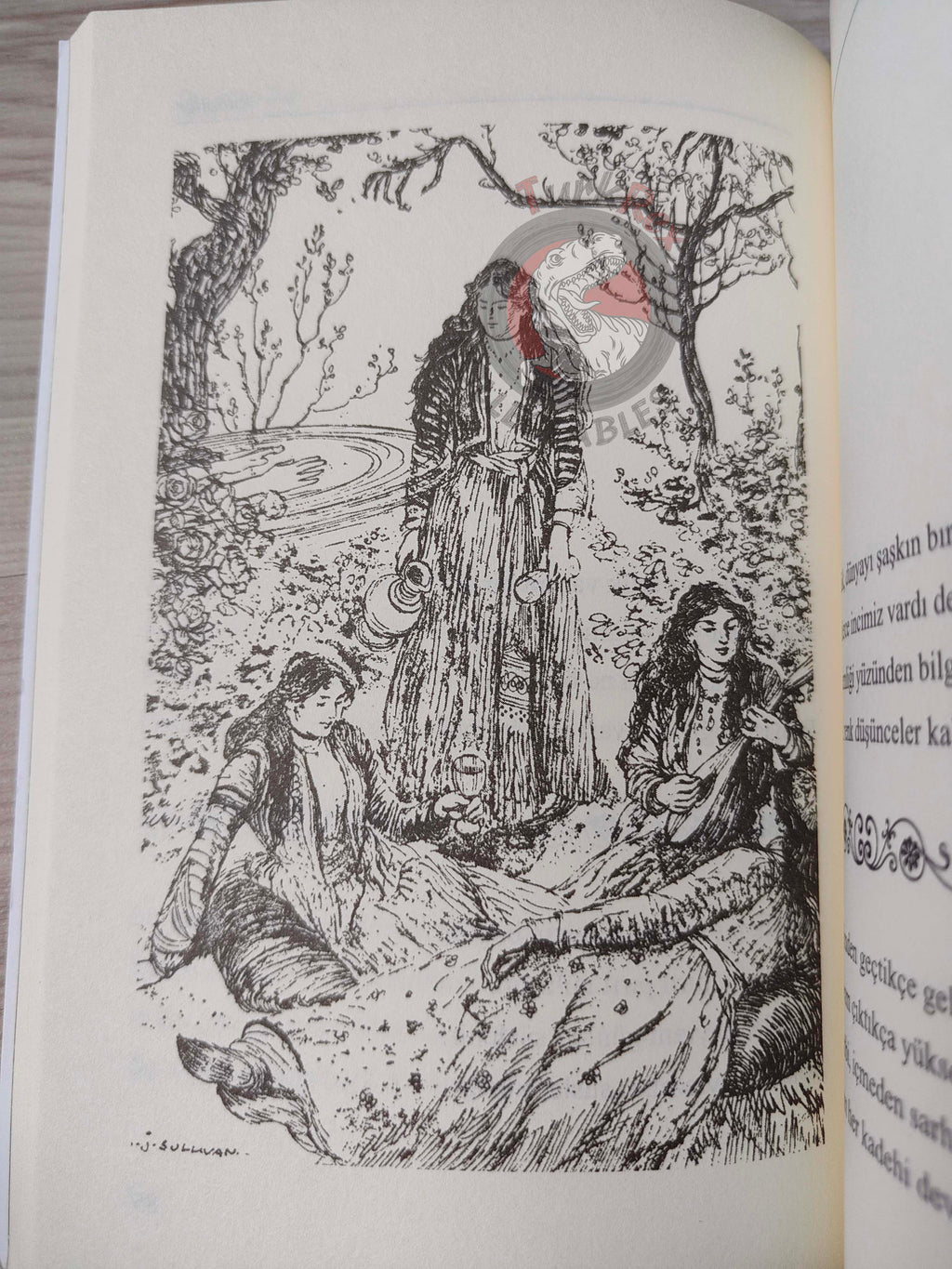 Rubaiyat of Omar Khayyam 2013 Illustrated Turkish Book Turkey Panama
