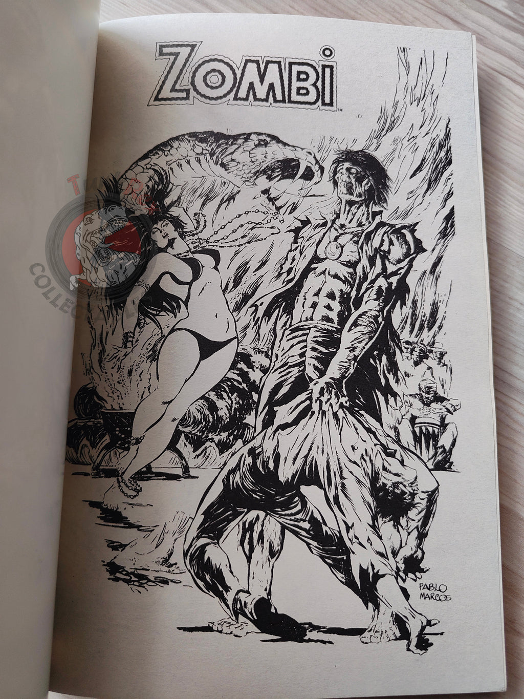 Tales of the Zombie Issue #1 to #9 2010 Turkish Comic Turkey Essential #1