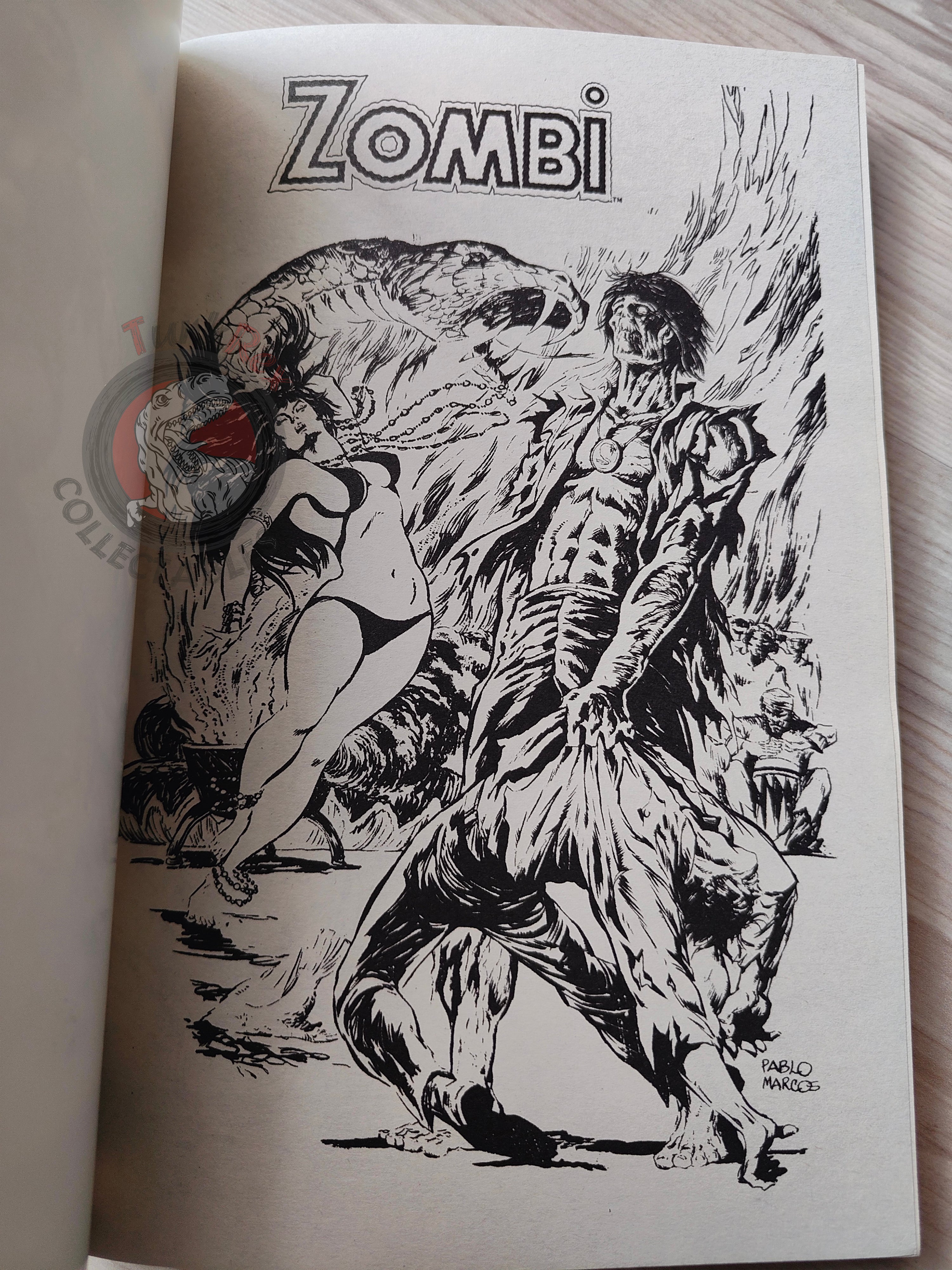Tales of the Zombie Issue #1 to #9 2010 Turkish Comic Turkey Essential #1