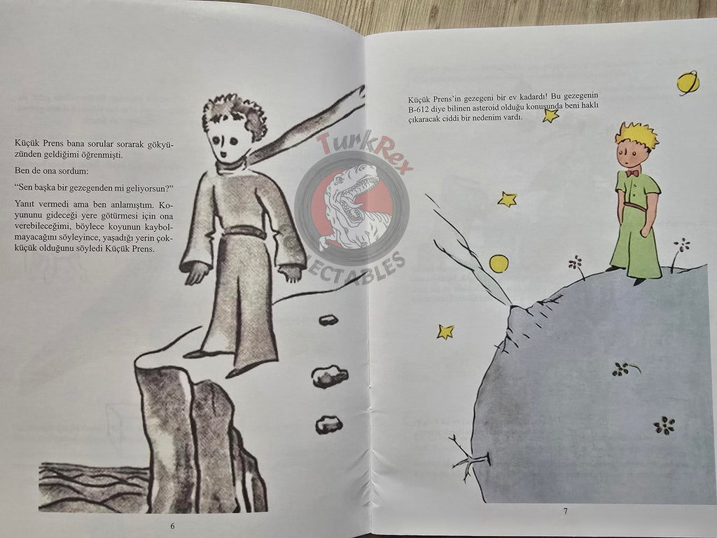 Antoine de Saint-Exupéry – Le Petit Prince 2015 Turkish Book Turkey Illustrated Little 10