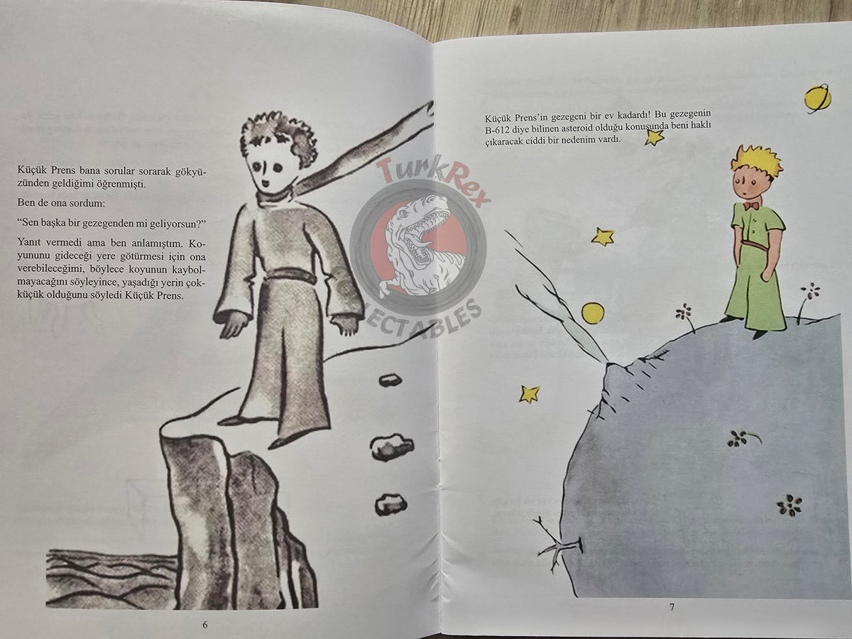 Antoine de Saint-Exupéry – Le Petit Prince 2015 Turkish Book Turkey Illustrated Little 10
