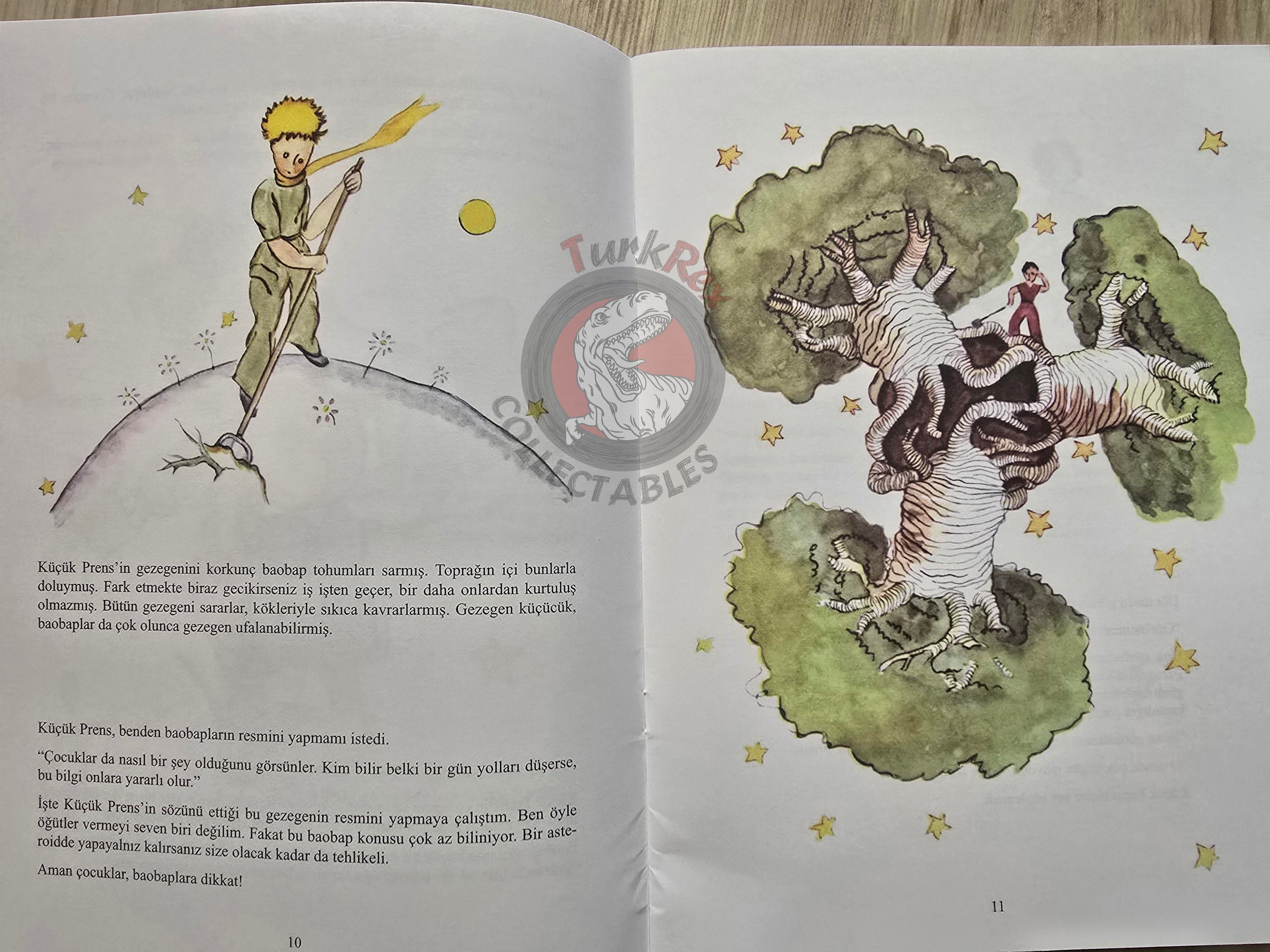 Antoine de Saint-Exupéry – Le Petit Prince 2015 Turkish Book Turkey Illustrated Little 10