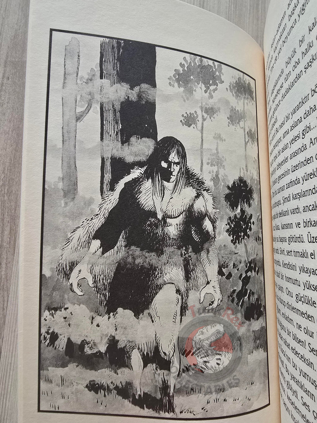 Book of Dede Korkut: Tepegöz 2003 Turkish Book Turkey Illustrated by Turkish Artist
