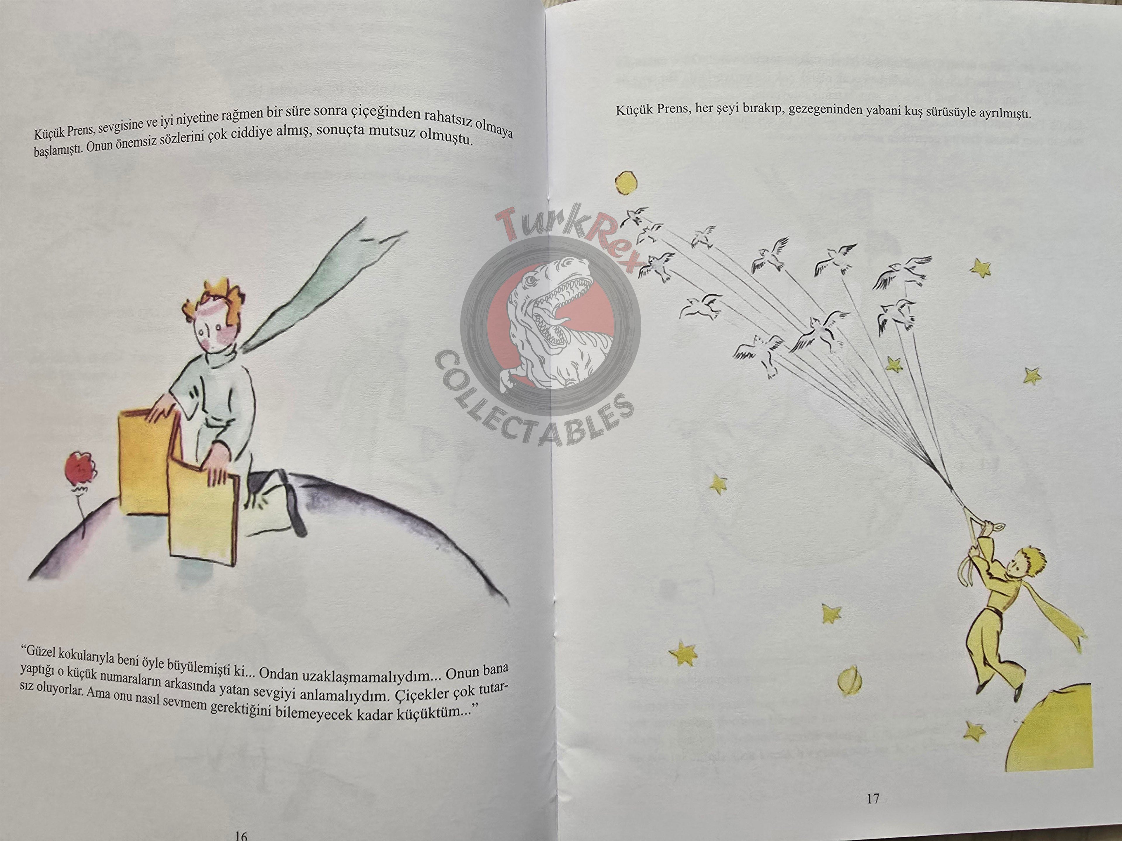 Antoine de Saint-Exupéry – Le Petit Prince 2015 Turkish Book Turkey Illustrated Little 10